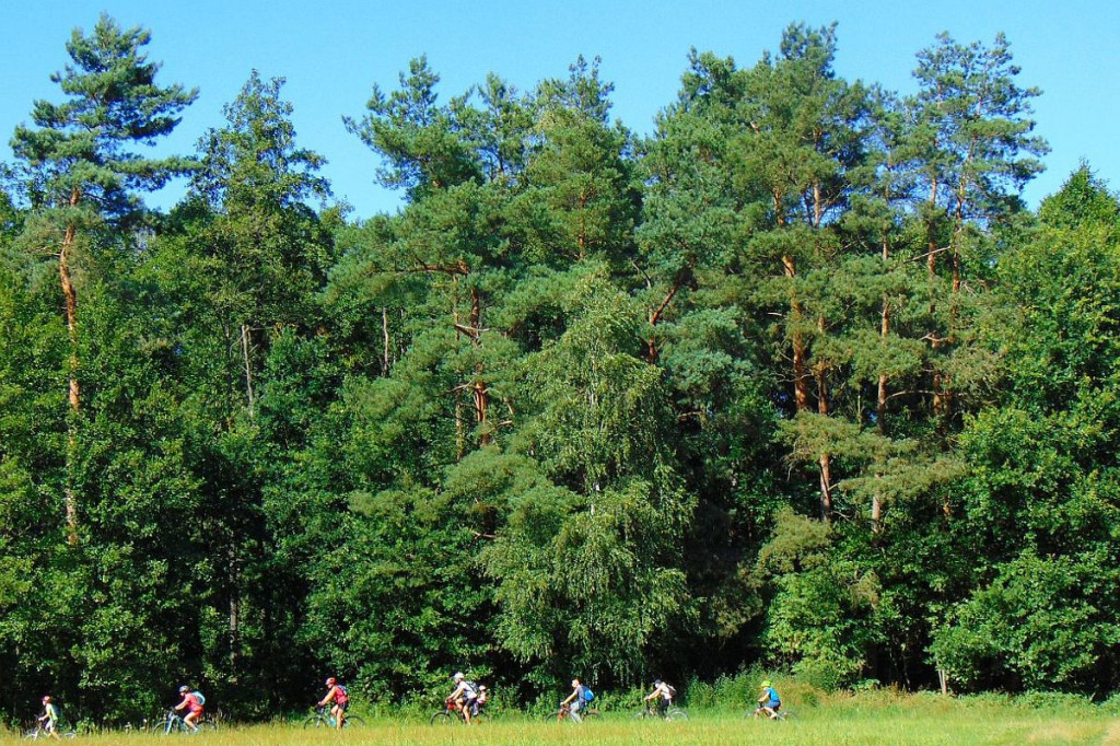 Niedziela na dwóch kółkach [DUŻO ZDJĘĆ]