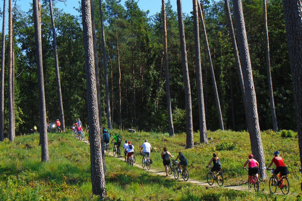 Wielki rajd na ponad 200 rowerów [DUŻO ZDJĘĆ]