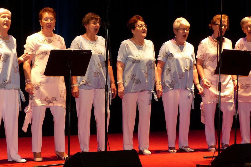 Seniorzy śpiewali w Brodnicy [ZDJĘCIA]