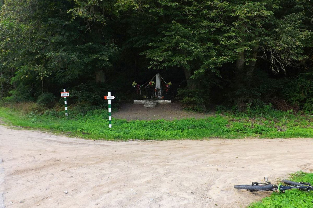 Zbudowali ścieżkę pieszo-rowerową obok jeziora. A teraz planują ustawić na wodzie pływający pomost [ZDJĘCIA]