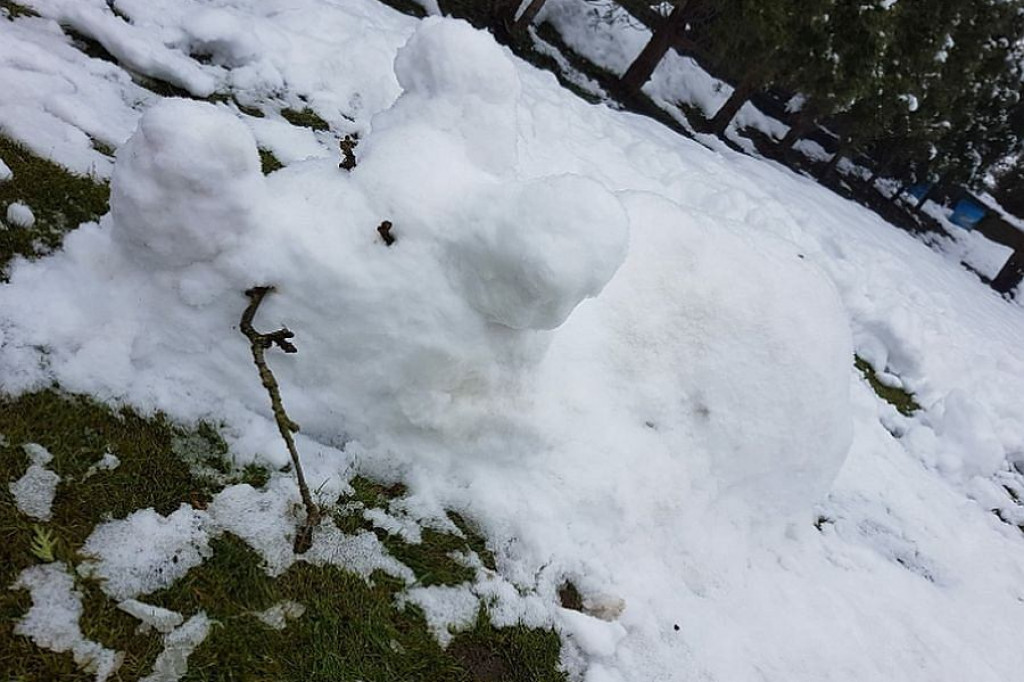 Po latach bez zimy nowa zabawa dla dzieci: lepienie bałwanów. 