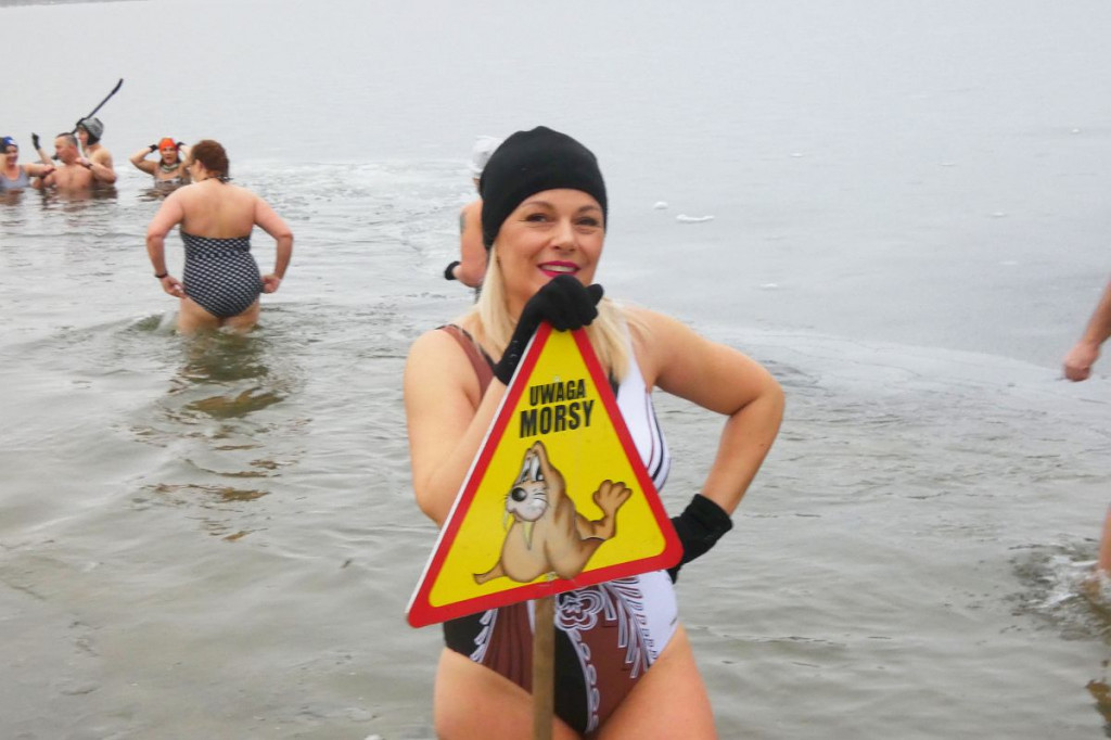 Na Pojezierzu Brodnickim mamy setki morsów. Kąpią się co tydzień [ZDJĘCIA]