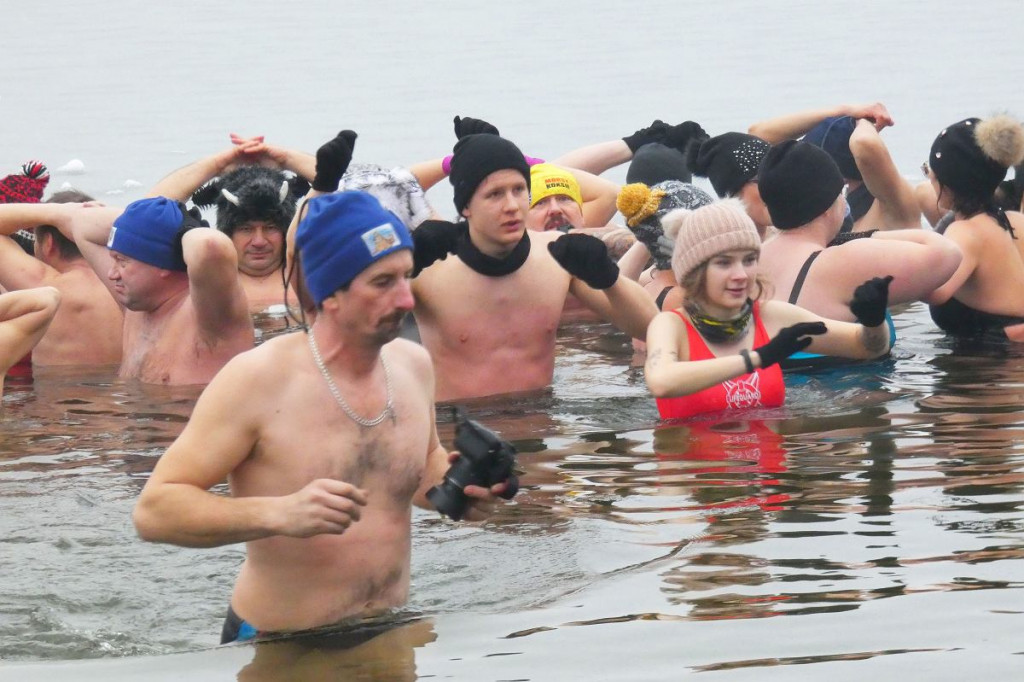Na Pojezierzu Brodnickim mamy setki morsów. Kąpią się co tydzień [ZDJĘCIA]