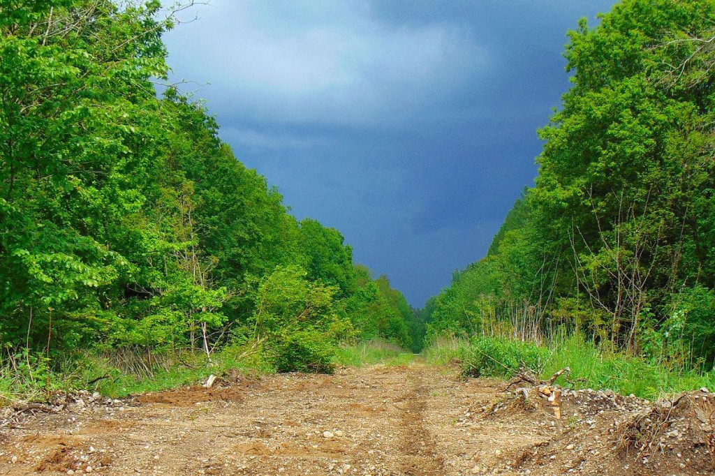 Pociągi już dawno nie kursują. Są perspektywy by na nasypie zbudować ścieżkę pieszo-rowerową