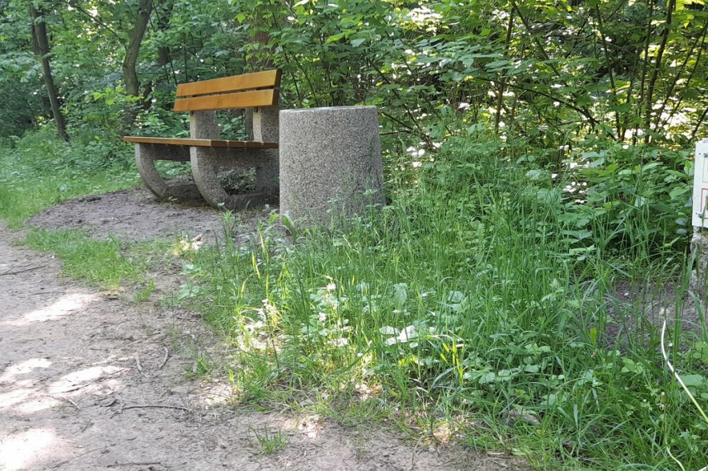 Brodnica. Nowe atrakcje w Lasku Miejskim już gotowe i dostępne dla każdego [ZDJĘCIA]