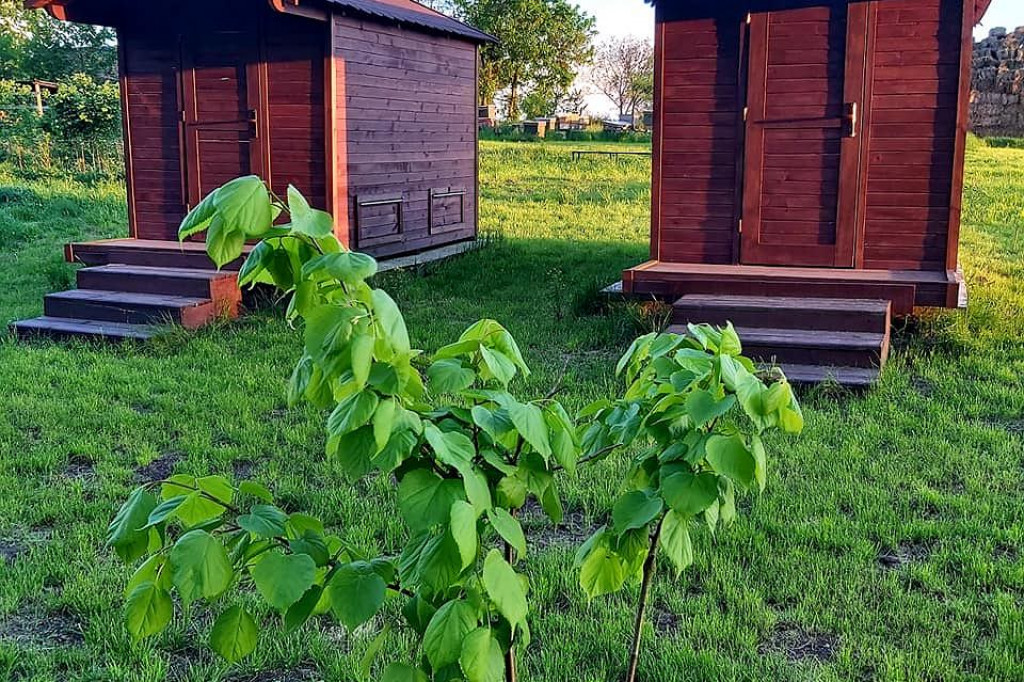 Apiinhalacja, czyli pszczoły leczą ludzi. Terapia i relaks w domku z czterema ulami, ale całkiem bezpieczne