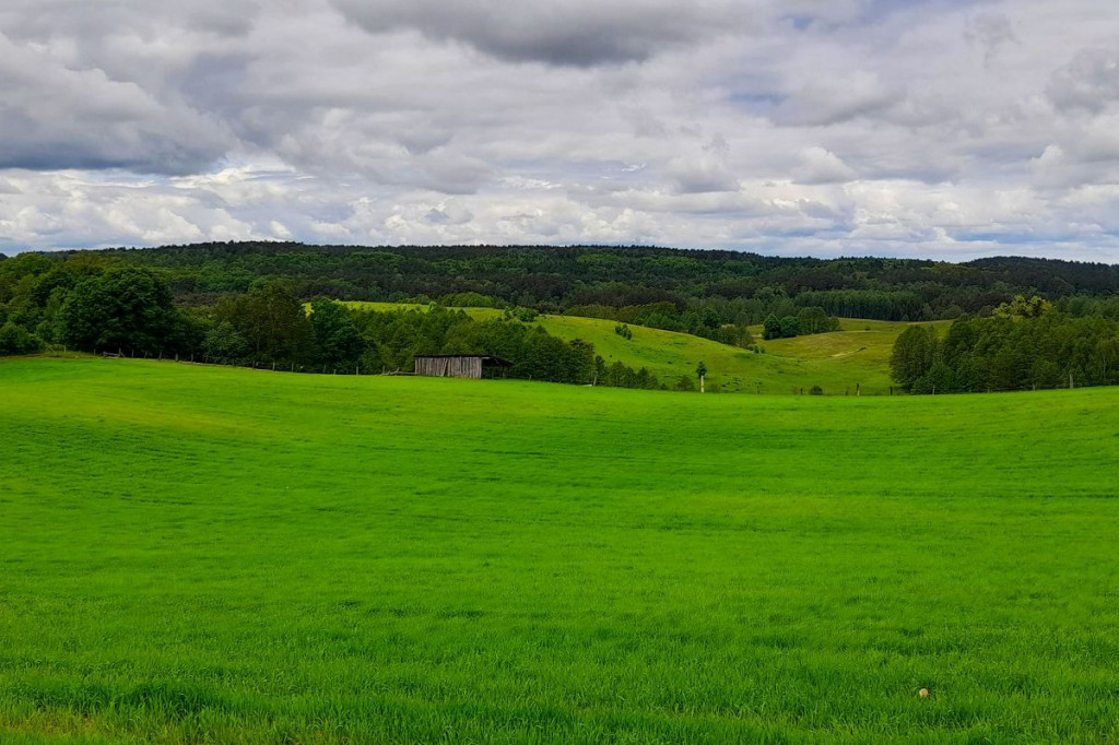 Rowerem po Górznieńsko-Lidzbarskim Parku Krajobrazowym. Momentami jest jak w Bieszczadach [ZDJĘCIA, MAPKI]