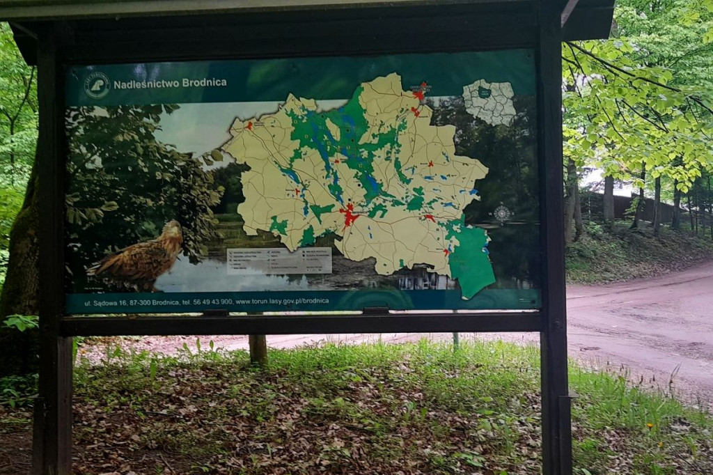 Rowerem po Górznieńsko-Lidzbarskim Parku Krajobrazowym. Momentami jest jak w Bieszczadach [ZDJĘCIA, MAPKI]