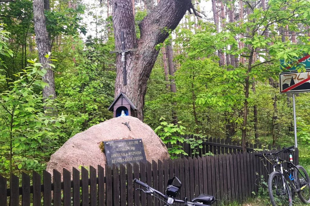 Rowerem po Górznieńsko-Lidzbarskim Parku Krajobrazowym. Momentami jest jak w Bieszczadach [ZDJĘCIA, MAPKI]