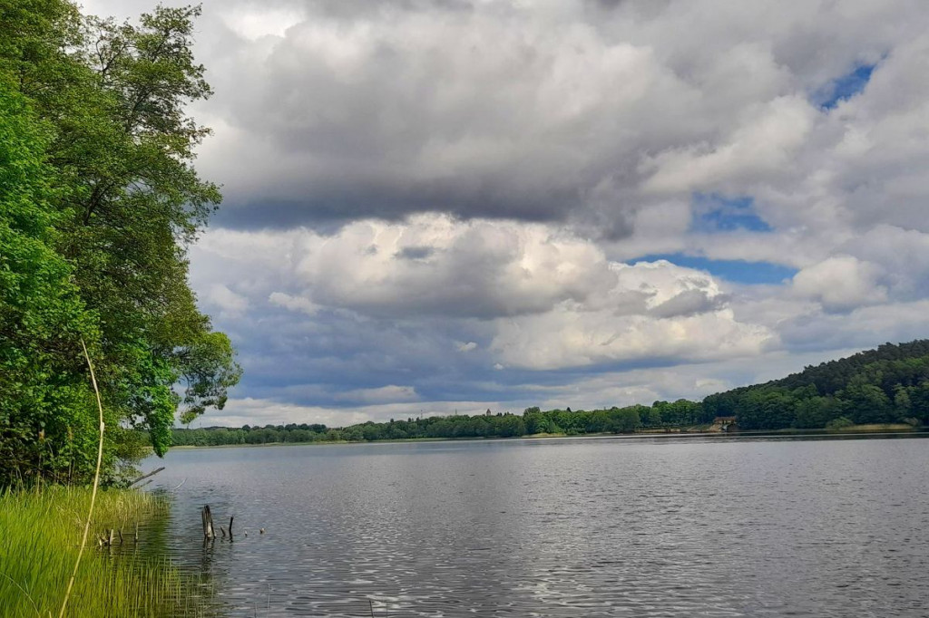 Rowerem po Górznieńsko-Lidzbarskim Parku Krajobrazowym. Momentami jest jak w Bieszczadach [ZDJĘCIA, MAPKI]