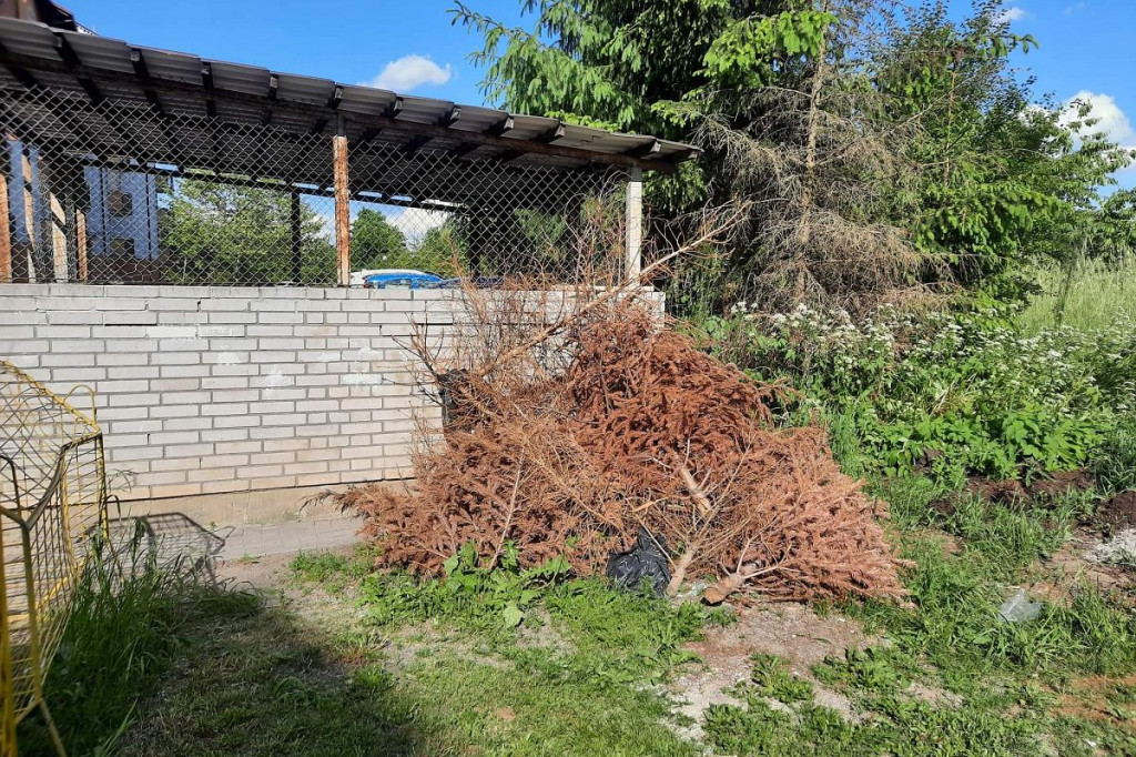 Brodnica. Bombki w czerwcu? To nie dowcip. Na tym osiedlu ciągle jest 