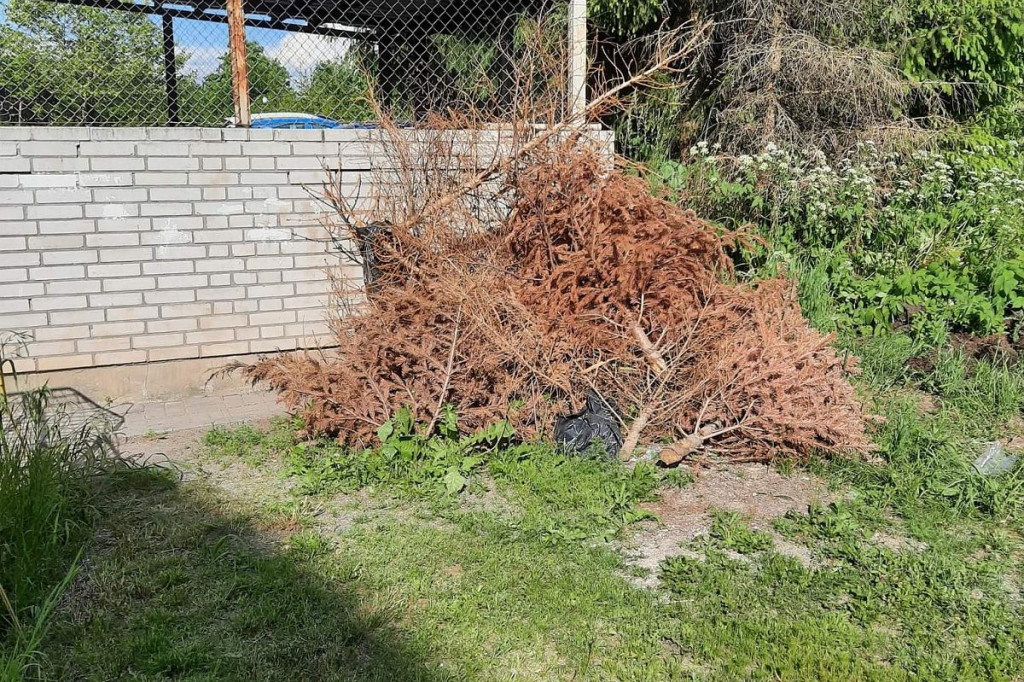 Brodnica. Bombki w czerwcu? To nie dowcip. Na tym osiedlu ciągle jest 