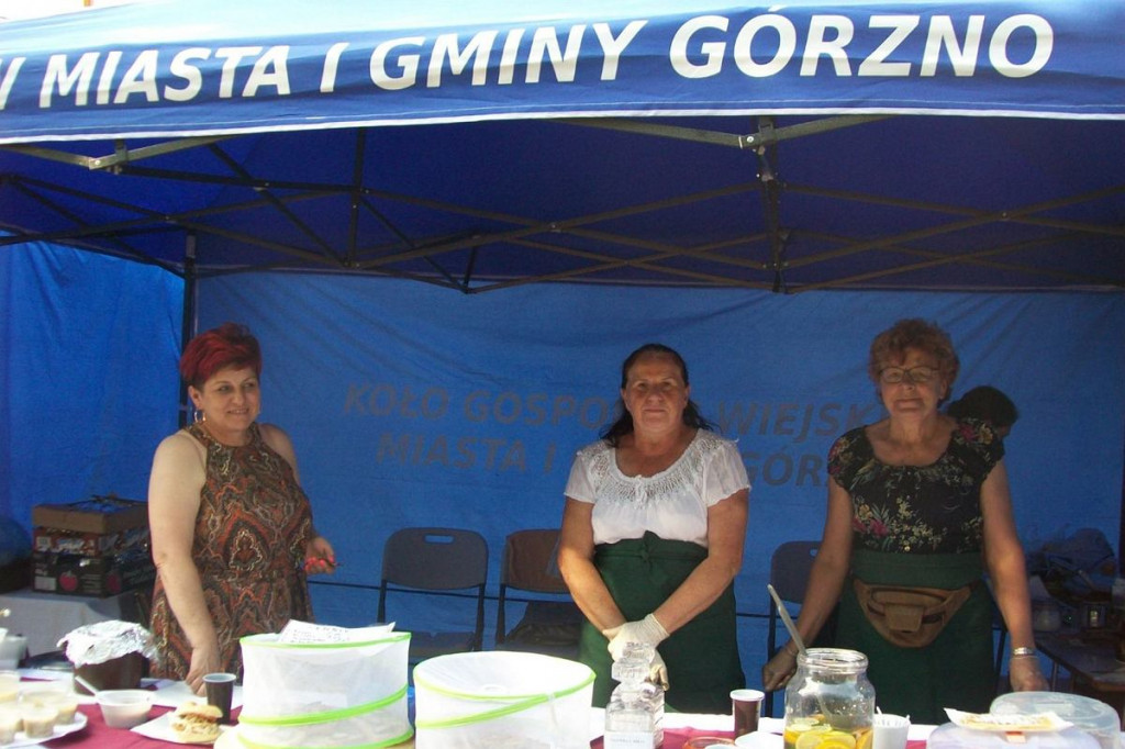 Warsztat kowala, cyrk, saksofon i akordeon. Festyn w Górznie [ZDJĘCIA]