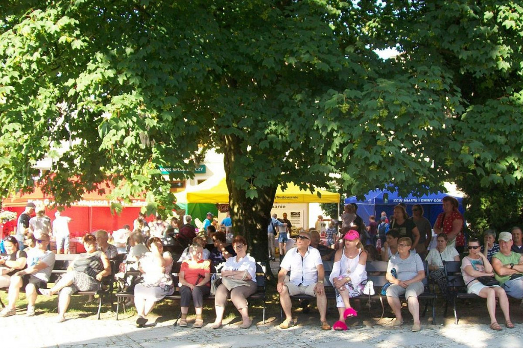 Warsztat kowala, cyrk, saksofon i akordeon. Festyn w Górznie [ZDJĘCIA]