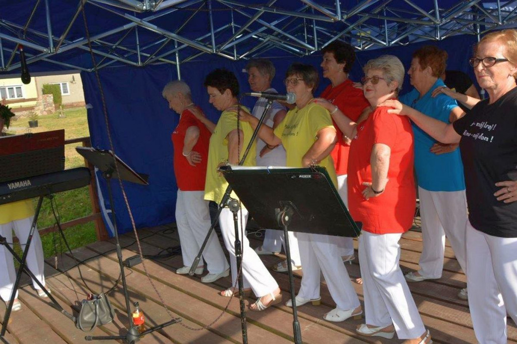 Nad stawem z wiankami. Festyn w Najmowie [ZDJĘCIA]