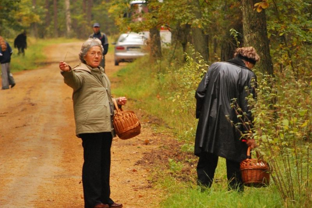 Z Czytelnikami na grzyby