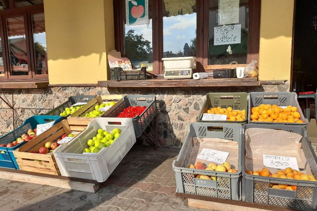 Brodnica. Ceny owoców i warzyw na targowisku, w sprzedaży już grzyby z lasu. Czy jest drożej niż rok temu?