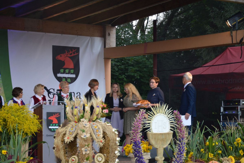 Dożynki 2021. Co robiły morsy na święcie plonów w Brzoziu? [ZDJĘCIA]
