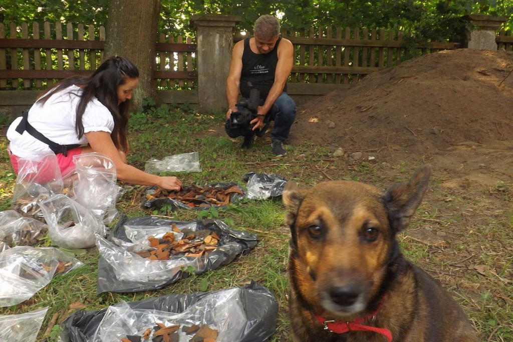 Brodnica i okolice. Archeolodzy kopią w Górznie. Twierdzą, że pod ziemią jest stare zamczysko, a w nim podobno skarby
