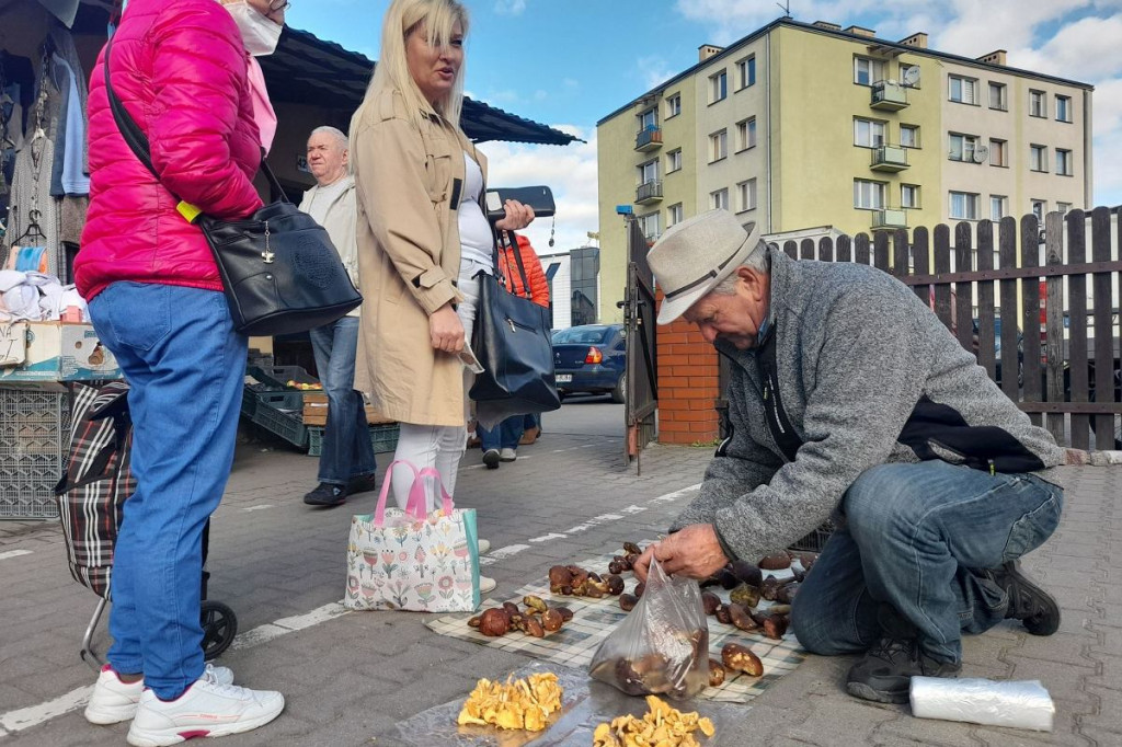 Brodnica. Owoce, warzywa i grzyby na targowisku miejskim we wtorek. Sprawdziliśmy ceny
