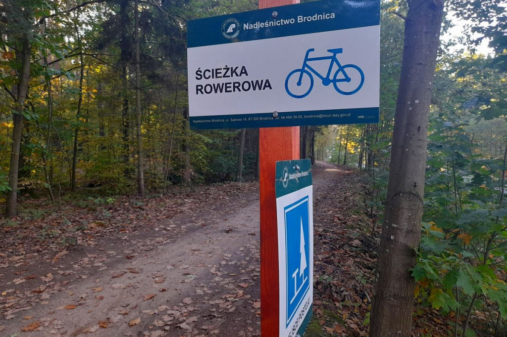 Brodnica i okolice. Aż szkoda, że to tylko 750 metrów. A na końcu jezioro, leśne pszczoły i mrówki [ZDJĘCIA]
