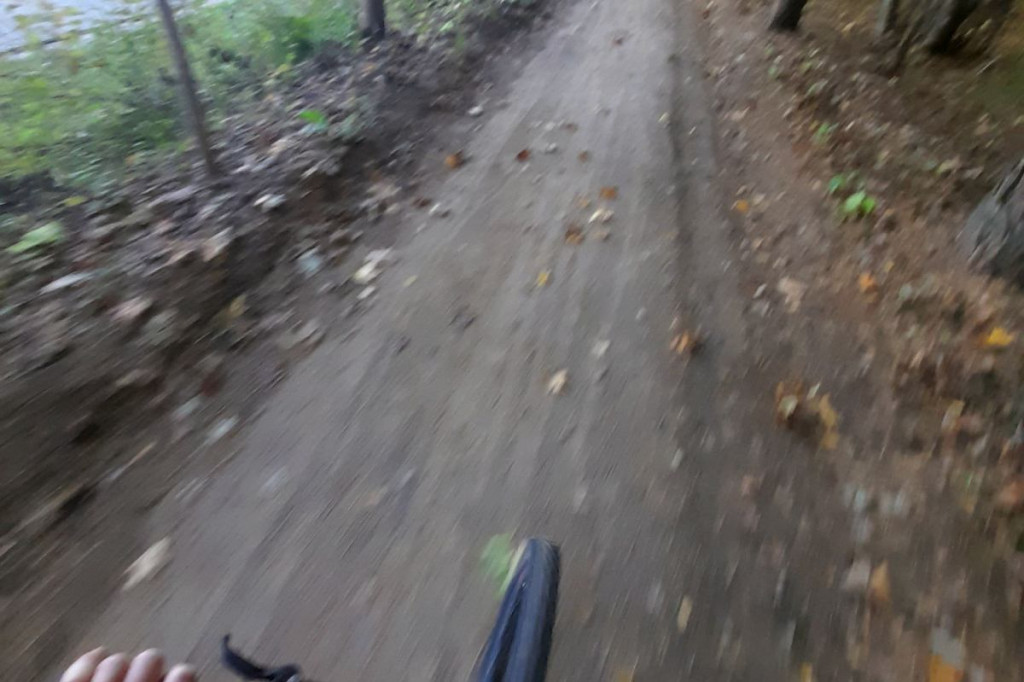 Brodnica i okolice. Aż szkoda, że to tylko 750 metrów. A na końcu jezioro, leśne pszczoły i mrówki [ZDJĘCIA]