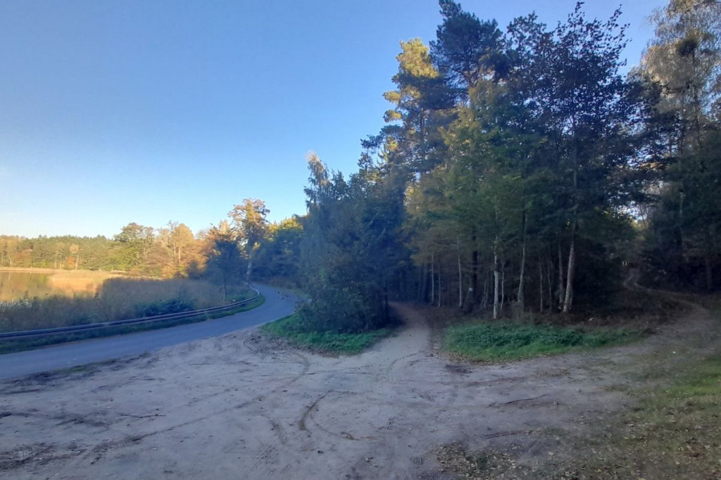 Brodnica i okolice. Aż szkoda, że to tylko 750 metrów. A na końcu jezioro, leśne pszczoły i mrówki [ZDJĘCIA]