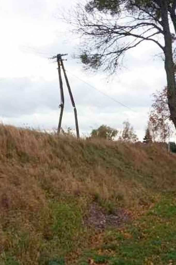 Brodnica i okolice. Wiatr zrywał dachy, łamał drzewa i słupy energetyczne. Na ratunek groźnym zwierzętom [ZDJĘCIA]