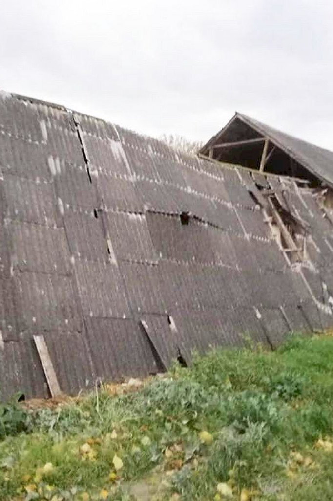 Brodnica i okolice. Wiatr zrywał dachy, łamał drzewa i słupy energetyczne. Na ratunek groźnym zwierzętom [ZDJĘCIA]
