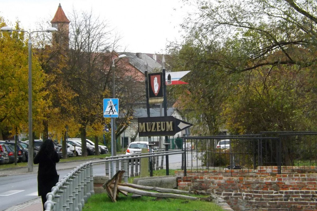 Brodnica. Fatalny wieczór dla miejskiej przyrody. 