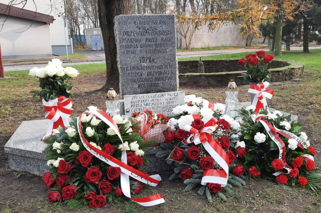 Brodnica i okolice. Marszałek, starosta, wójt i proboszcz spotkali się pod szczególnym drzewem [ZDJĘCIA]