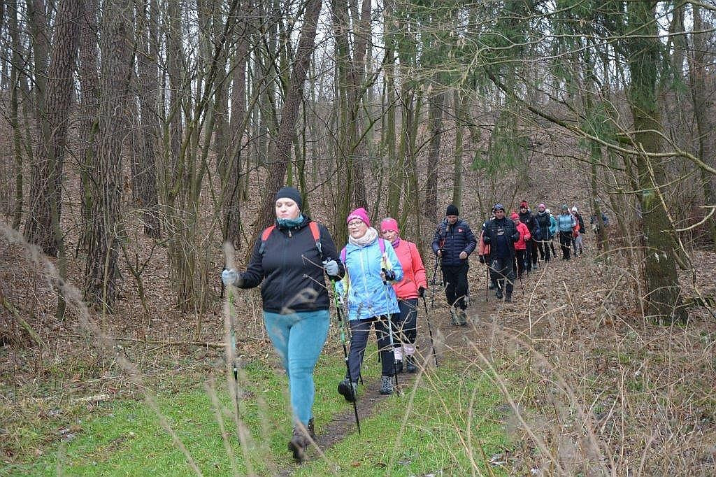 WOŚP 2022. Rajd nordic walking po urokliwych zakątkach gminy Zbiczno [ZDJĘCIA]