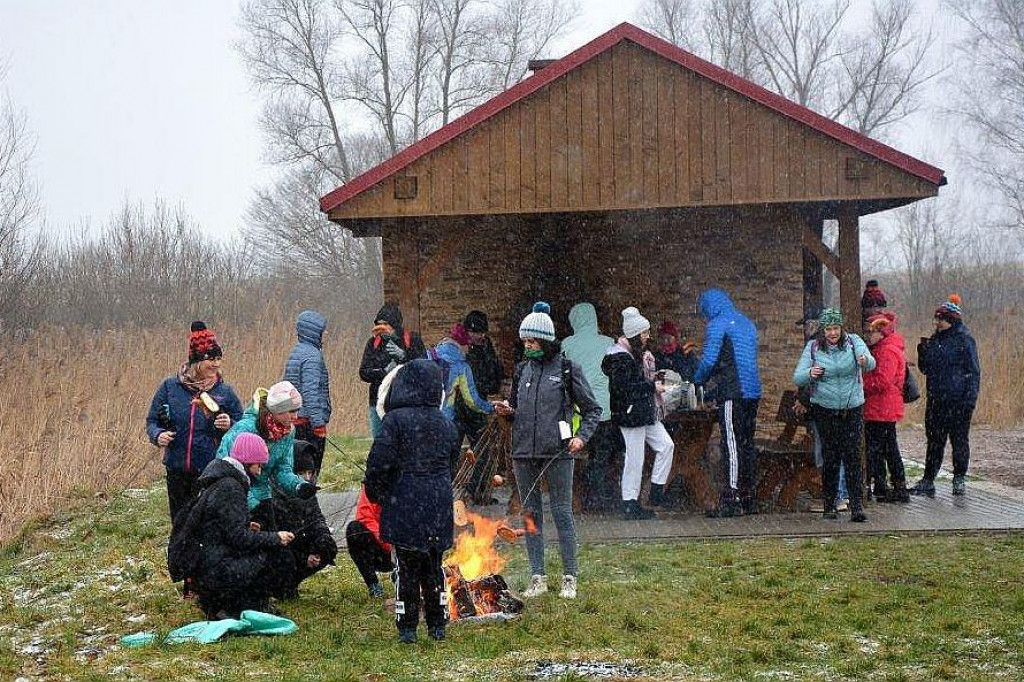 WOŚP 2022. Rajd nordic walking po urokliwych zakątkach gminy Zbiczno [ZDJĘCIA]