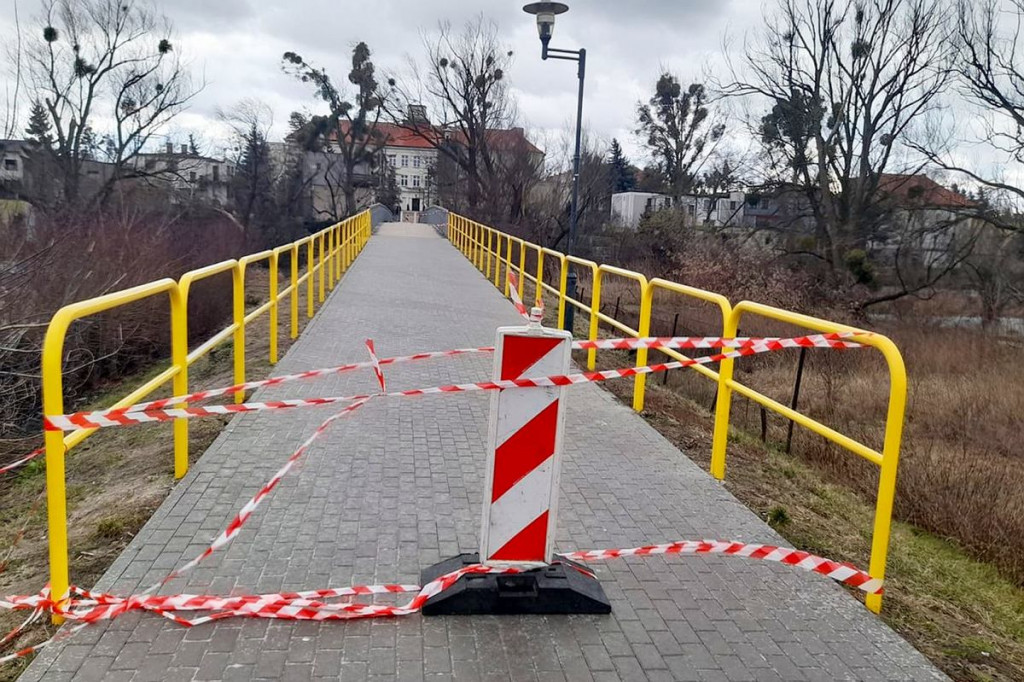 Brodnica. Wiatr powalił wielkie drzewo przy pomniku Jana Pawła II. Zamknięta kładka przy Lidzbarskiej [ZDJĘCIA]