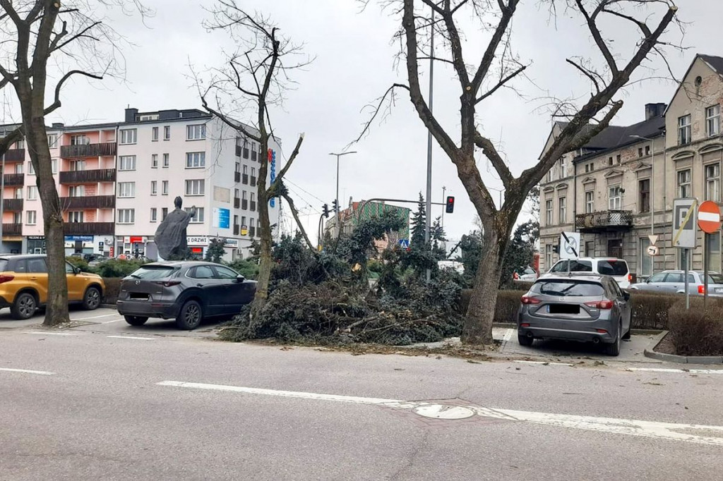 Brodnica. Wiatr powalił wielkie drzewo przy pomniku Jana Pawła II. Zamknięta kładka przy Lidzbarskiej [ZDJĘCIA]