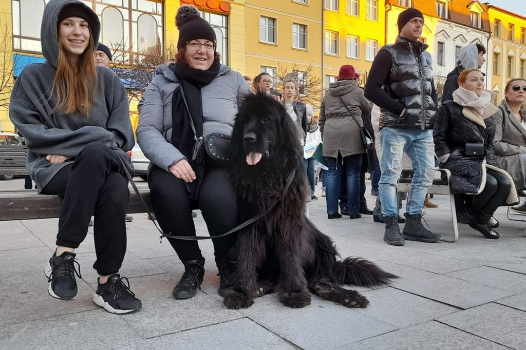 Brodnica. Tłumy na Dużym Rynku. Niech żyje wolna Ukraina! [DUŻO ZDJĘĆ]