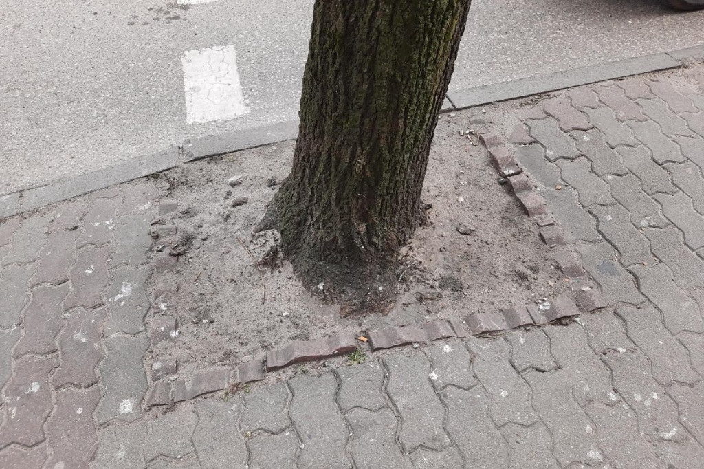 Brodnica. Czy będą rozbierać chodniki w centrum miasta? Jest wniosek radnej i odpowiedź burmistrza