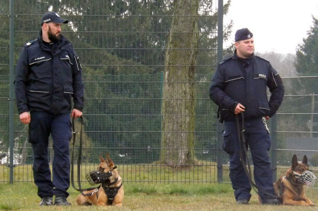 Brodnica. Popołudnie podwyższonego ryzyka. Kilkadziesiąt radiowozów, policjanci z psami [ZDJĘCIA]