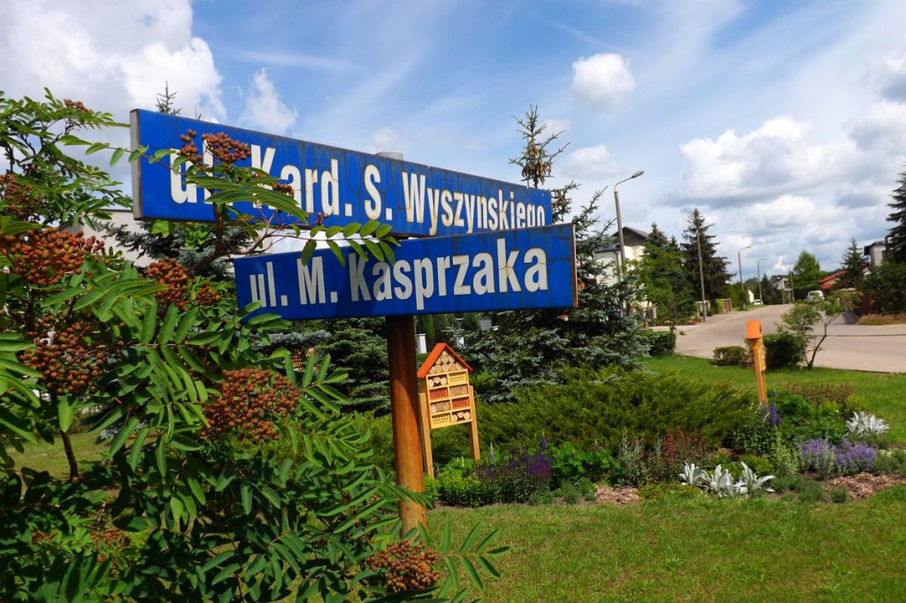 Brodnica. Na Grunwaldzie powstało niezwykłe miejsce. Jest czyściec, dzielżany i przywrotniki klapowate [ZDJĘCIA]