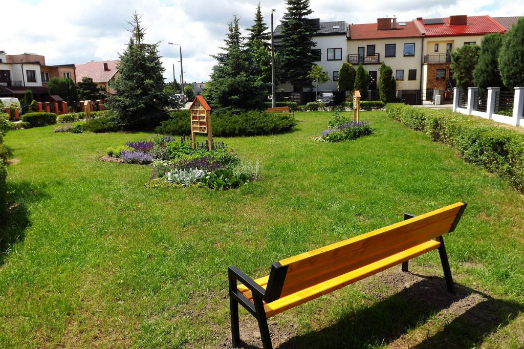 Brodnica. Na Grunwaldzie powstało niezwykłe miejsce. Jest czyściec, dzielżany i przywrotniki klapowate [ZDJĘCIA]