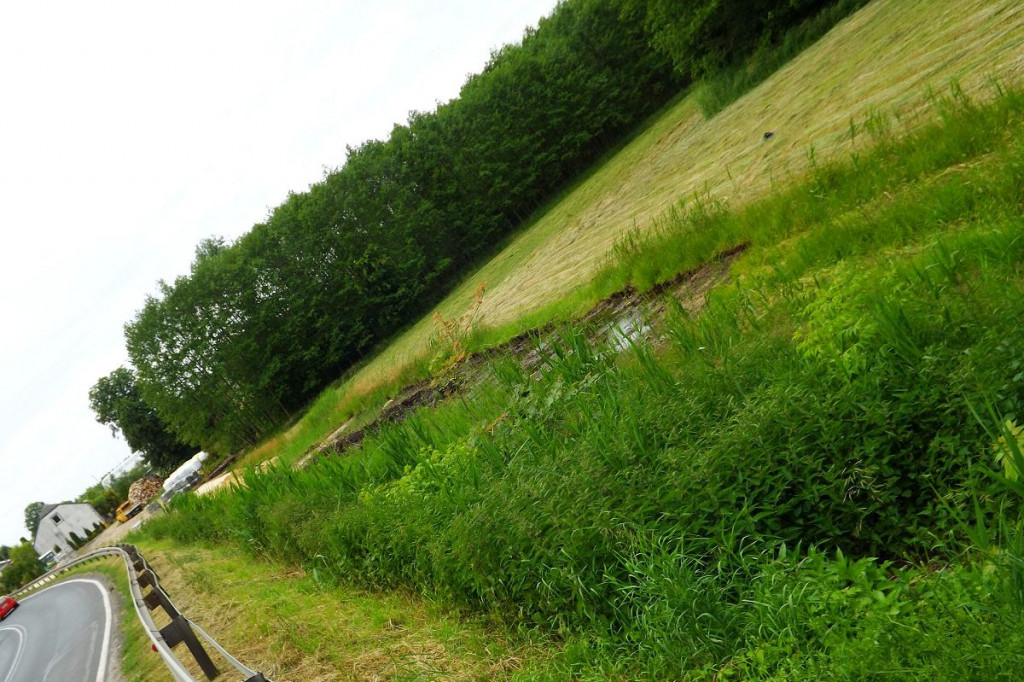 Brodnica i okolice. Budują ścieżkę pieszo-rowerową przy DK 15. Ale mieszkańcy się skarżą [ZDJĘCIA]