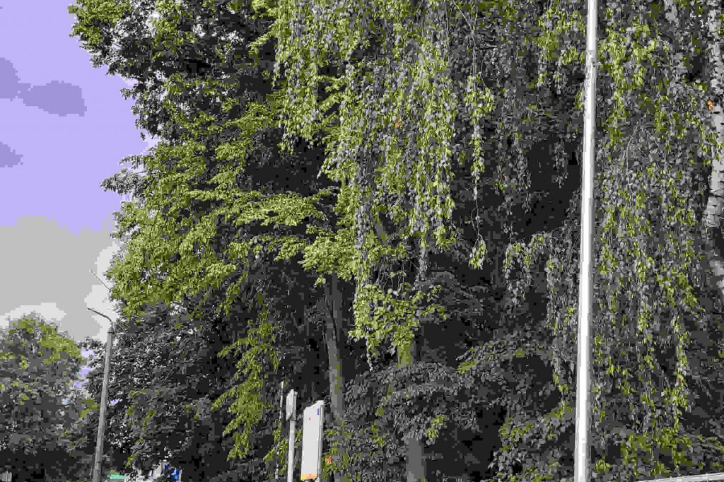 Brodnica. W sobotę otwarcie parku Jana Pawła II, a znowu mamy absurdalną sytuację