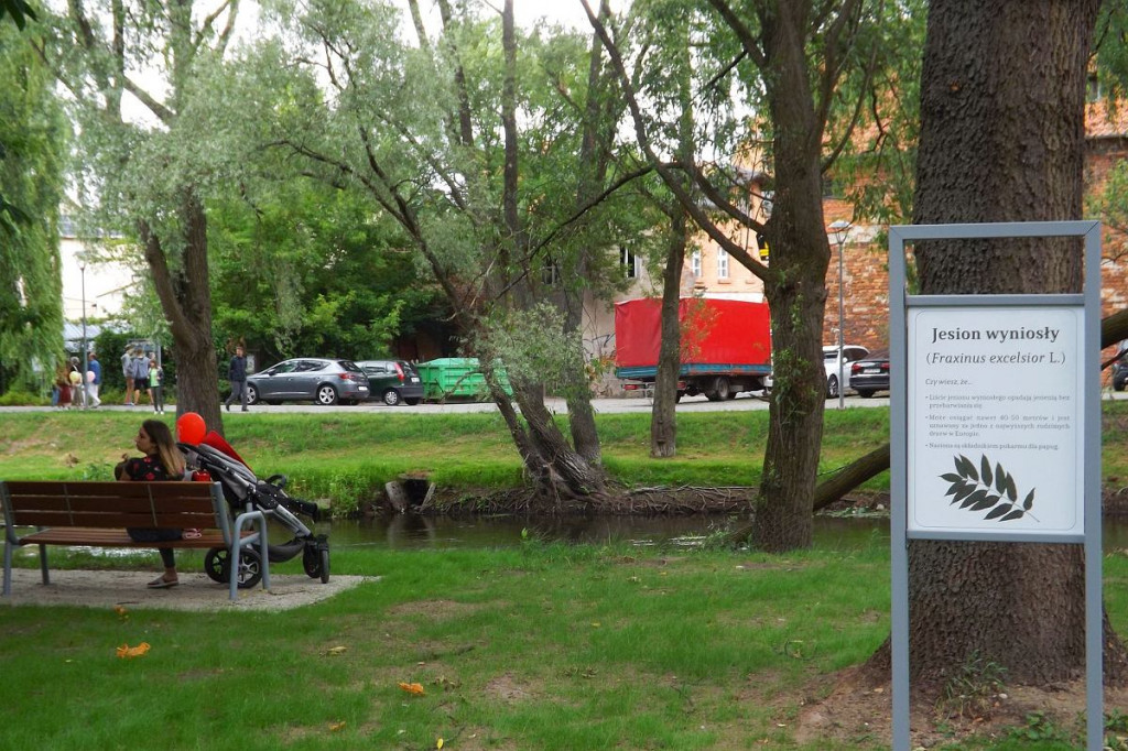 Brodnica. Parki Jana Pawła II i Anny Wazówny w nowym obliczu [DUŻO ZDJĘĆ]