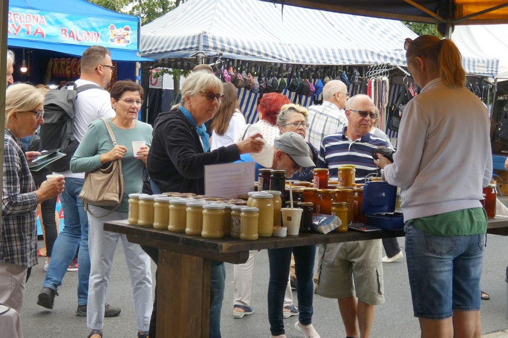 Brodnica. Niedzielny jarmark ekologiczny z królewną Anną przyciągnął tłumy [DUŻO ZDJĘĆ]
