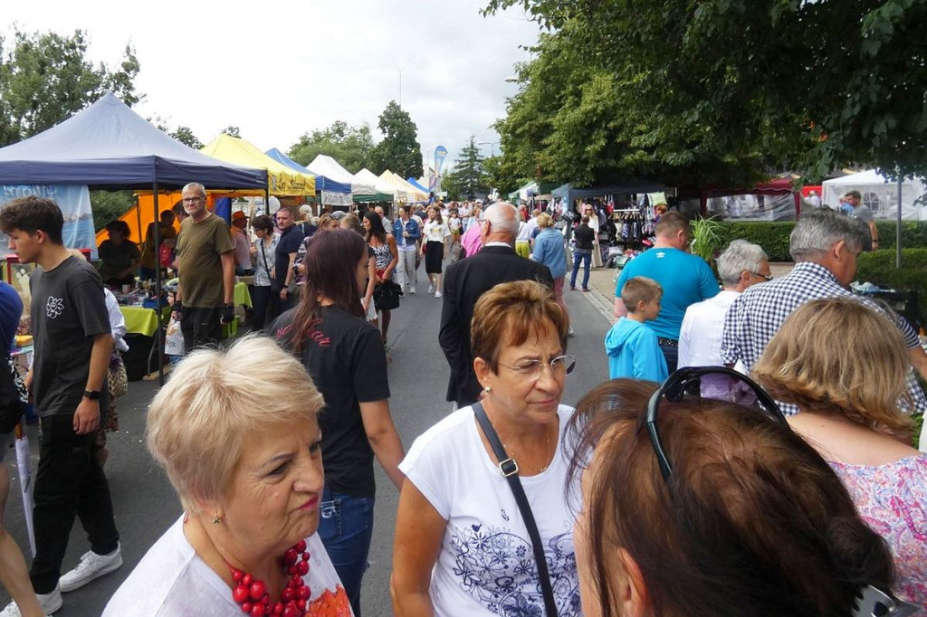 Brodnica. Niedzielny jarmark ekologiczny z królewną Anną przyciągnął tłumy [DUŻO ZDJĘĆ]
