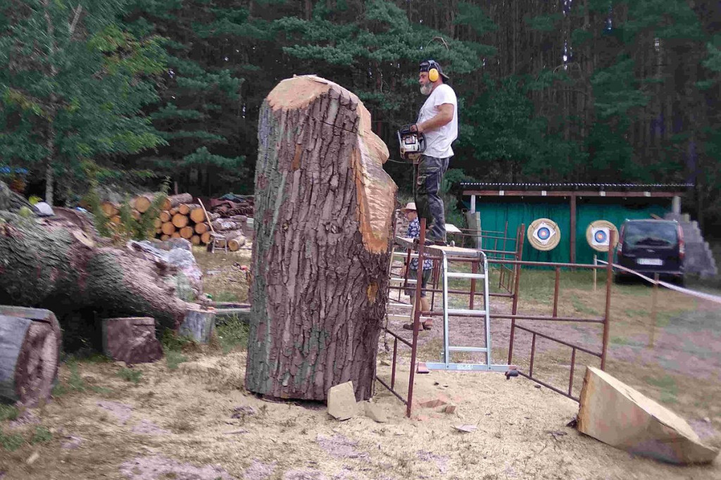 Brodnica i okolice. W wielkich pniach drzew rzeźbili piłami łańcuchowymi. Niezwykłe dzieła [ZDJĘCIA]