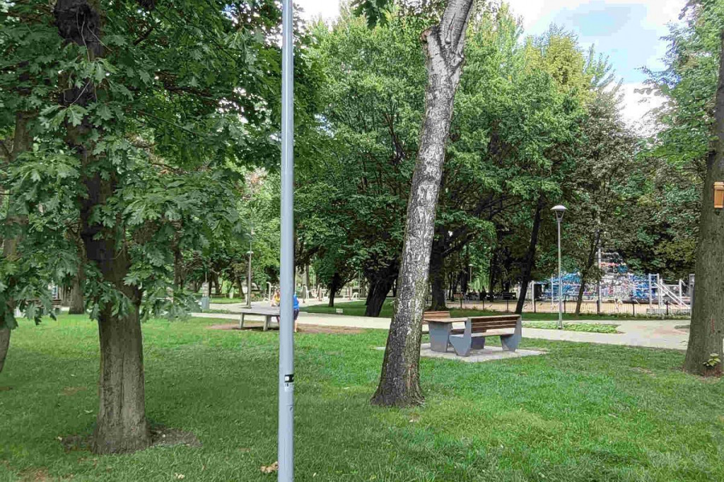 Brodnica. W przebudowanym parku stoi rząd tajemniczych słupków ze szczytami bez wykończenia. Do czego miały służyć?