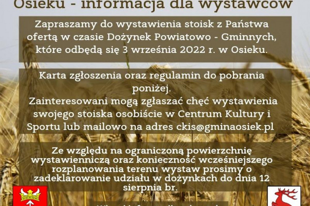 Brodnica i okolice. Koncerty, dożynki, festyny i inne atrakcje. Przyjedzie Maryla Rodowicz? [KALENDARZ IMPREZ]