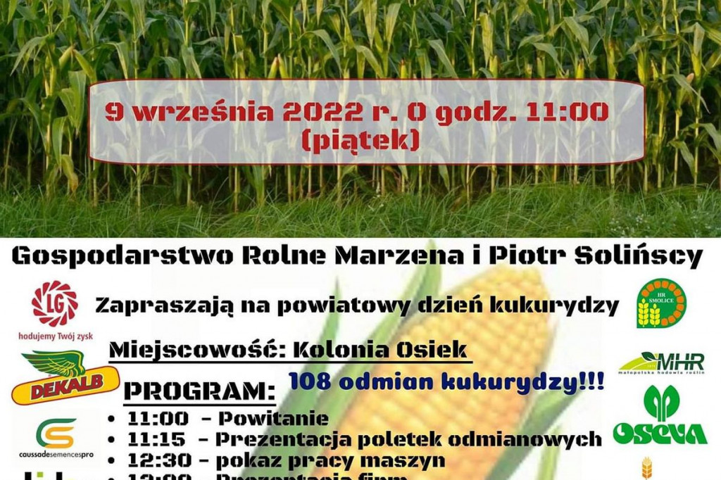 Brodnica i okolice. W weekend festyny, dożynki i imprezy dla miłośników historii i wielkich maszyn [KALENDARZ IMPREZ]