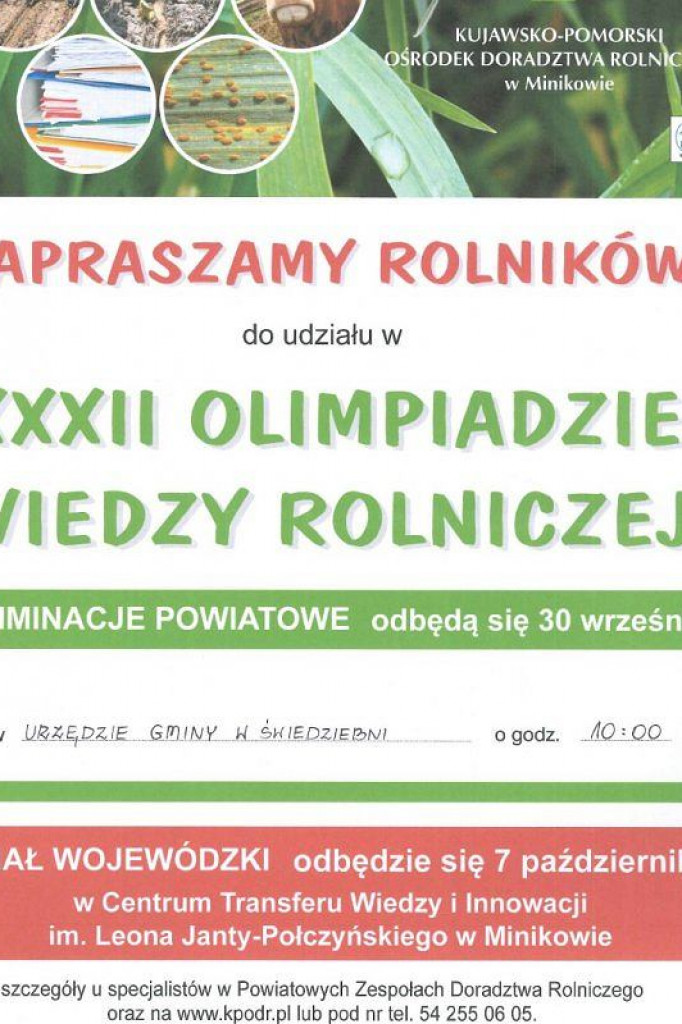 Brodnica i okolice. Święto teatru, orkiestr dętych i ziemniaka. Będą też znani polscy artyści [KALENDARZ IMPREZ]